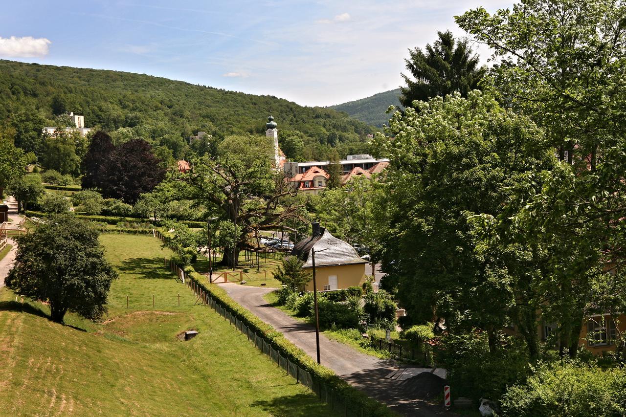 Rhoen Hotel Waldcafe St. Georg Staatsbad Brückenau Exteriér fotografie